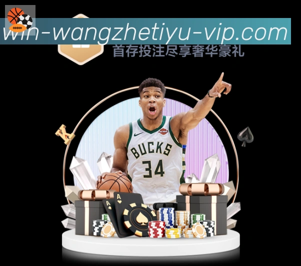未来规划